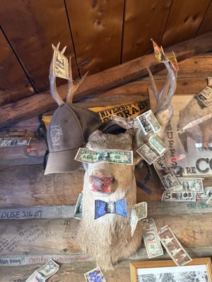 Bucksnort Saloon by null