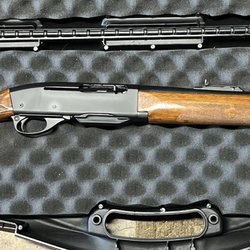 Shoot Angry - Remington 742 carbine