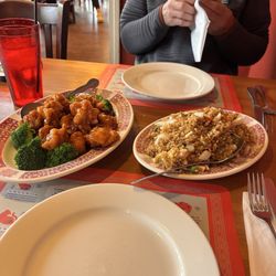 Oriental Delight - Fried rice and orange chicken!