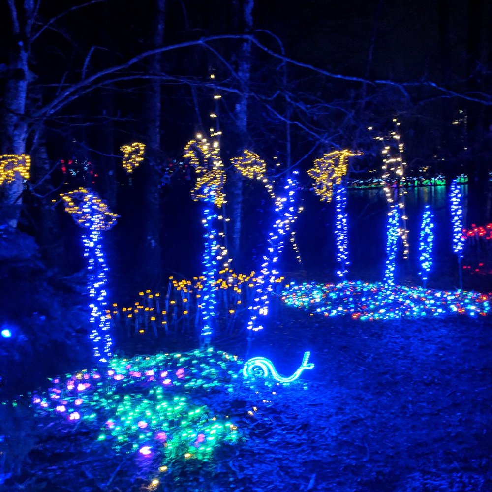 Lights at Lafarge - Local Flavor Near Me - Coquitlam, British Columbia Lights at Lafarge - Local Flavor Near Me - Coquitlam, British Columbia
