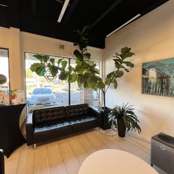 Renu Chiropractic Health - Huge plants!