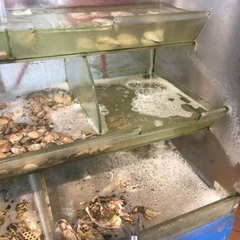 King's Seafood Center - Fresh clams & oysters - Seafood Markets Near Me - Sunnyvale, California King's Seafood Center - Fresh clams & oysters - Seafood Markets Near Me - Sunnyvale, California