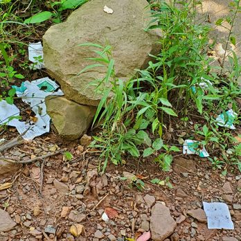 Bull Run Regional Park - Trash. - Parks Near Me - Centreville, Virginia Bull Run Regional Park - Trash. - Parks Near Me - Centreville, Virginia