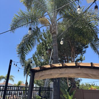 L&P Tree Service - Pre trim/setting up - Landscaping Near Me L&P Tree Service - Pre trim/setting up - Landscaping Near Me