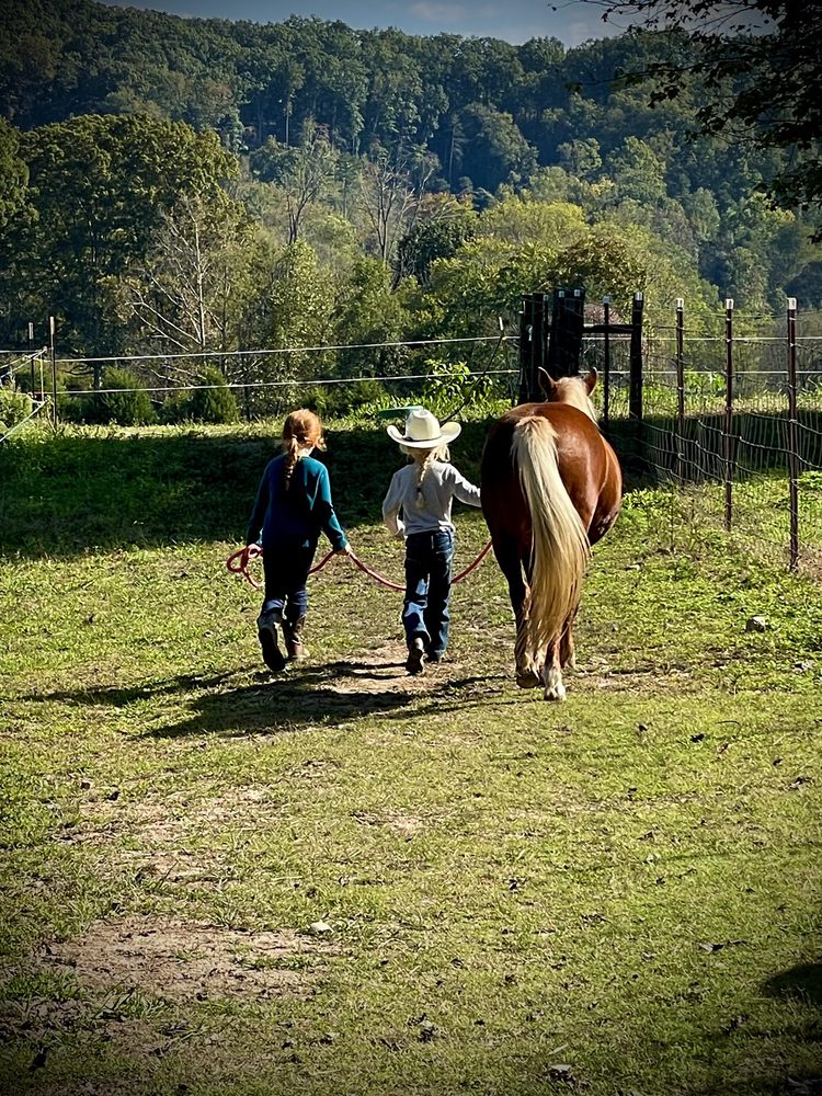 Crazy Faith Equine - equestrian in Philadelphia, TN