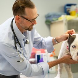 The Oncology Service - Richmond
