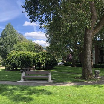 Jones Park - Lots of space for picnics - Parks Near Me - Renton, Washington