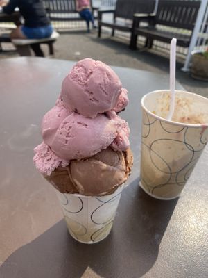 Nelson's Ice Cream by null