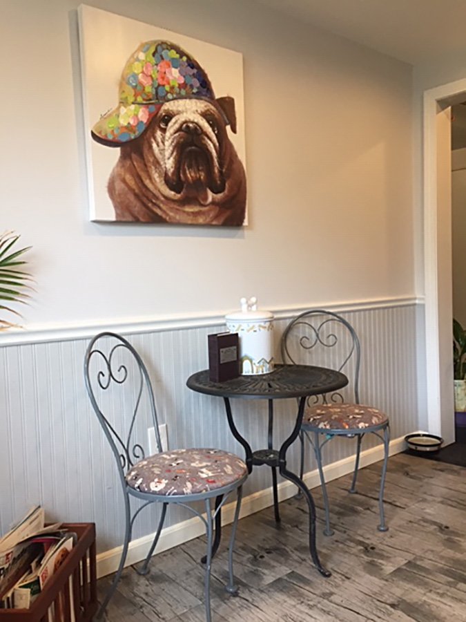 ANSONIA SILVER HILL KENNEL & CATTERY Updated August 2024 10 Beech St, Ansonia, Connecticut