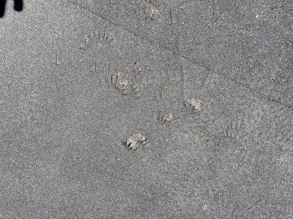 Slide of One Stop Roofers