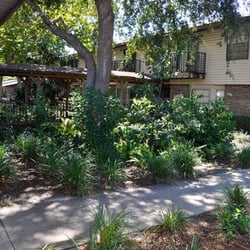 Emeritus At La Casa Grande
