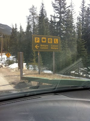 Maligne Canyon by null