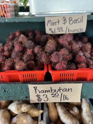 Larry's Produce by null