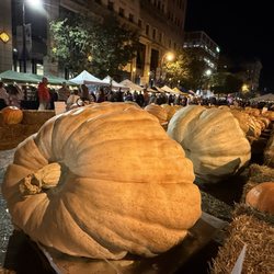 Operation Pumpkin - Pumpkin and Art Festival