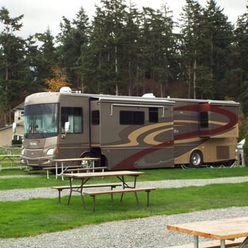 Fidalgo Bay Resort - The trees behind our rig is where the Bald Eagles come to watch the water on the bay and then leave to find food. - Campgrounds Near Me - Anacortes, Washington