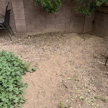 Air Landscape and Maintenance - Before backyard remodeling - Landscaping Near Me