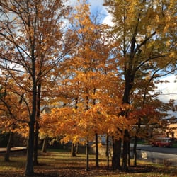 Blue Ash Nature Park - The park's "Fall Fashion Show "  is in bloom.