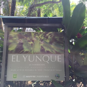 El Yunque Rainforest - Hiking Near Me - Luquillo, Puerto Rico