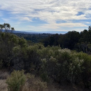 Anthony Chabot Regional Park - View near the entrance - Parks Near Me - Castro Valley, California