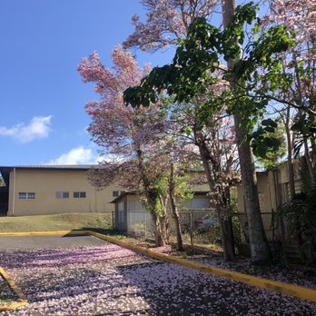 Borinquen Bilingual School - Green areas - Preschools Near Me - Aguadilla, Puerto Rico Borinquen Bilingual School - Green areas - Preschools Near Me - Aguadilla, Puerto Rico