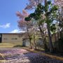 Photo of Borinquen Bilingual School
