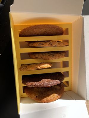 Thin Cookies - Hicksville by null