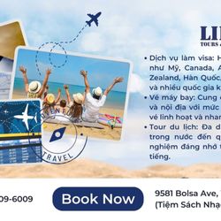 Lido Tours And Travel
