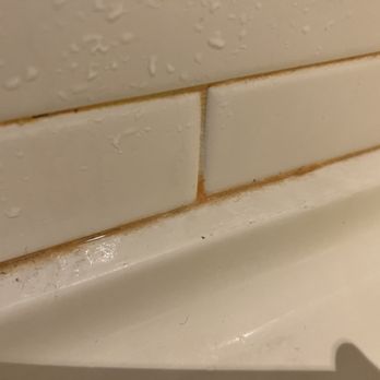 Marriott Syracuse Downtown - Seriously, for the price this place is charging I expect that mold will not be growing in the shower - Hotels Near Me - Syracuse, New York Marriott Syracuse Downtown - Seriously, for the price this place is charging I expect that mold will not be growing in the shower - Hotels Near Me - Syracuse, New York