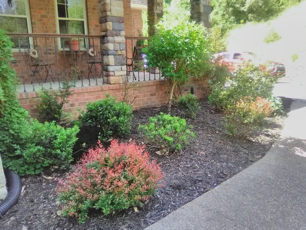 SJ Lawn Care Service - tree service in st.albans, WV