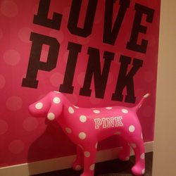 Victoria's Secret & PINK - Dressing room!!!