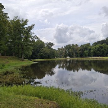 Coal Bluff Park Campground - Parks Near Me - Lena, Mississippi Coal Bluff Park Campground - Parks Near Me - Lena, Mississippi