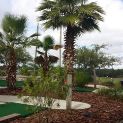 Ace Golf Range