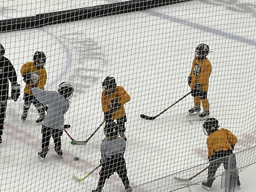 UPMC LEMIEUX SPORTS COMPLEX Updated October 2024 46 Photos & 25