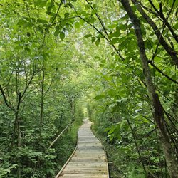 Koogler Wetland Prairie Reserve