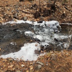 Upper Thomas Creek - Whites Creek - Dry Pond Trail
