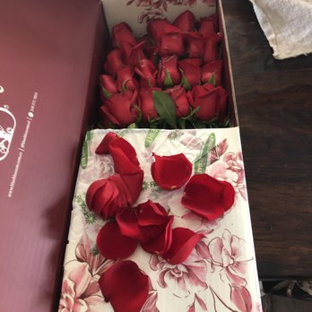 BloomsyBox - Florists Near Me - Miami, Florida BloomsyBox - Florists Near Me - Miami, Florida