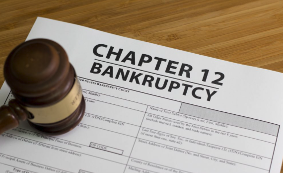 Chapter 12 Bankruptcy - Our Chapter 12 bankruptcy service is specifically designed for family farmers and fishermen, offering a streamlined path to reorganize their debts. This specialized bankruptcy option allows agricultural operations to create a manageable repayment plan while keeping their business running. Chapter 12 Bankruptcy - Our Chapter 12 bankruptcy service is specifically designed for family farmers and fishermen, offering a streamlined path to reorganize their debts. This specialized bankruptcy option allows agricultural operations to create a manageable repayment plan while keeping their business running.