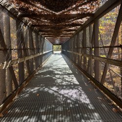 Lake Accotink Park