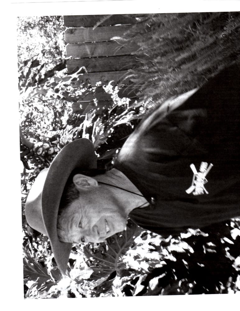 TLC RENOVATION Updated October 2024 17 Photos Tujunga, California