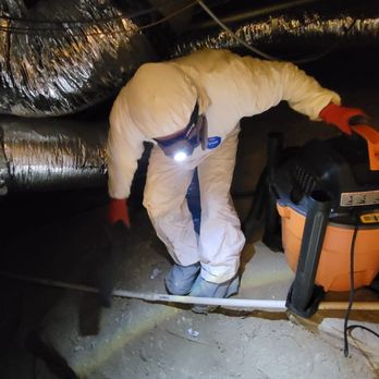 Rodent Hunters - Vacuuming Rodent droppings nest removal and sanitizing area plus pheromone removal. - Pest Control Near Me - Los Angeles, California Rodent Hunters - Vacuuming Rodent droppings nest removal and sanitizing area plus pheromone removal. - Pest Control Near Me - Los Angeles, California
