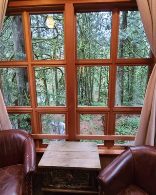 TreeHouse Point by null
