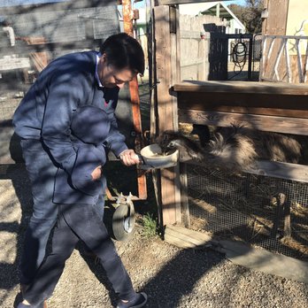 Ostrichland USA - Attraction Farms Near Me - Solvang, California Ostrichland USA - Attraction Farms Near Me - Solvang, California