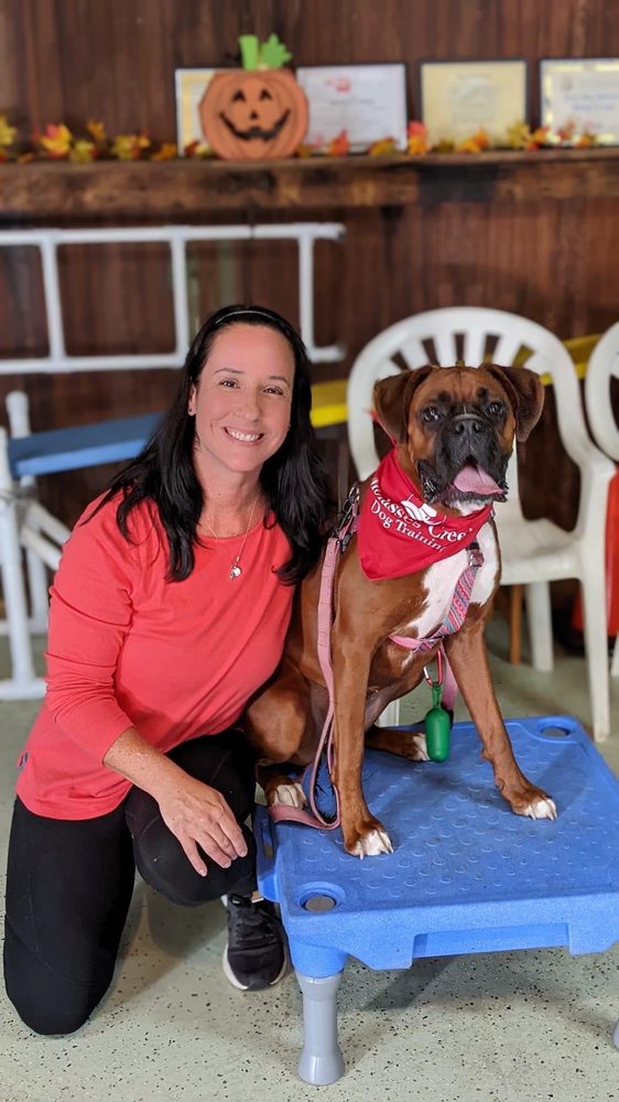 MOLASSES CREEK DOG TRAINING Updated October 2024 11 Reviews 1870