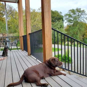 3812 Bistro - Very friendly Rocky! - Wine Bars Near Me - Watkins Glen, New York 3812 Bistro - Very friendly Rocky! - Wine Bars Near Me - Watkins Glen, New York