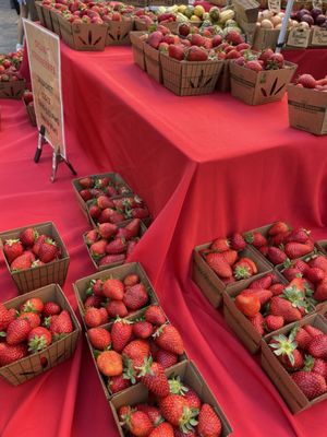 Santana Row Farmers' Market (Open May - September) by null