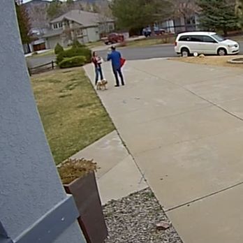 Pizza Twist - Three and a half minutes of the driver wildly gesturing at me and chastising me for living too far - Pizza Near Me - Reno, Nevada