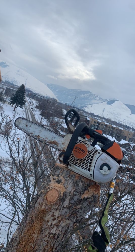 Incline Forestry & Tree Care - tree service in Missoula, MT