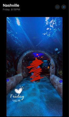 Aquarium Restaurant by null