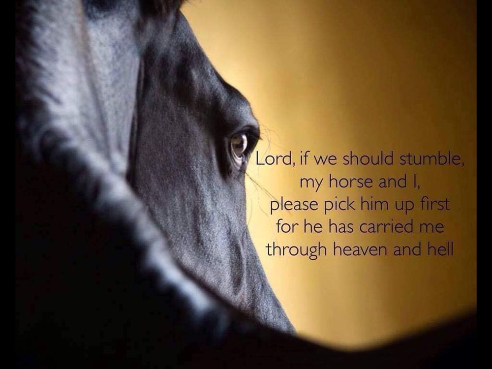 Full Circle Training Stables Logo
