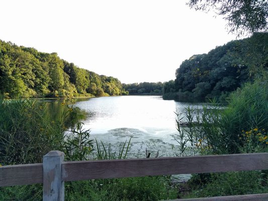 Alley Pond Environmental Center by null